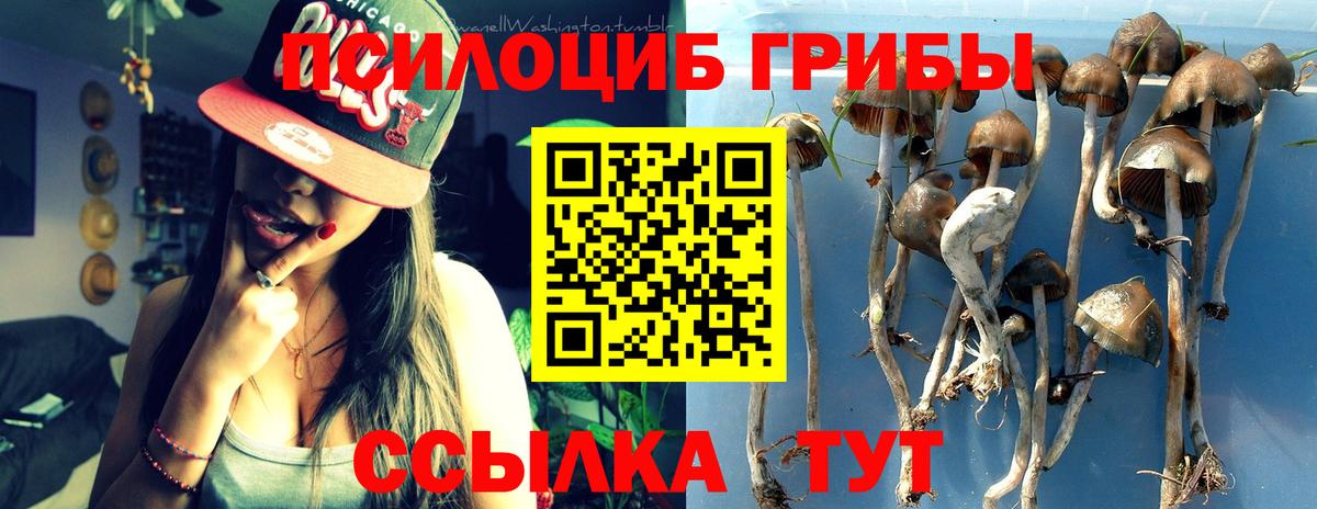 Псилоцибиновые грибы Psilocybine cubensis  Вход с VPN  Кулебаки 